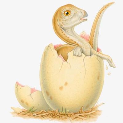 Timeline: Geological Timescale Timeline. Neil Shulkin