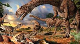 Timeline: geological timescale. Pablo Villarreal