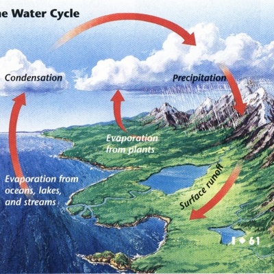 Timeline: Earth's Water Cycle Philip Herring