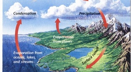 Timeline: Earth's Water Cycle Philip Herring