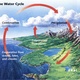 The water  cycle