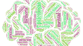 Timeline: Cronograma de Clases