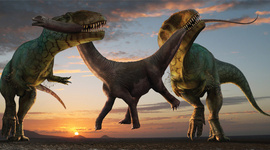 Timeline: Geological Timescale Timeline Project - Christian Osorio P1