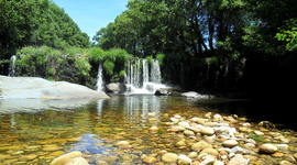 Timeline: Amanda Batista p1