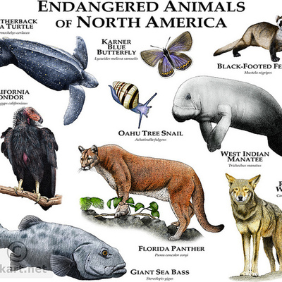 Timeline: Geological Timescale