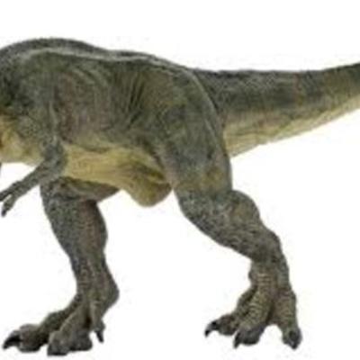 Timeline: bauti's timeline