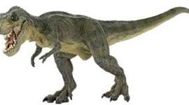 Timeline: bauti's timeline