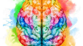 Timeline: CRONOLOGIA