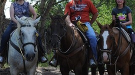 Timeline: Grandparents