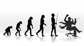 Timeline: Evolução Histórica da Contabilidade  x  Evolução da Perícia Contábil