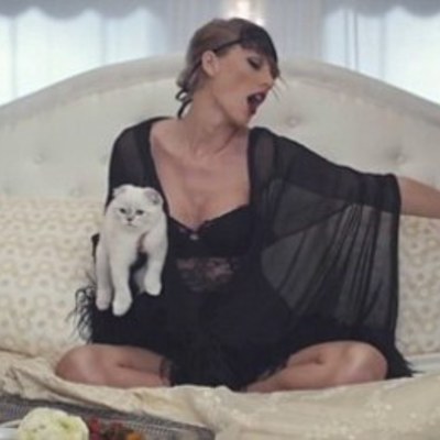 Timeline: Meredith Grey (Taylor Swift's Cat)