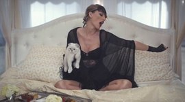 Timeline: Meredith Grey (Taylor Swift's Cat)