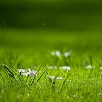 Timeline: HITOS COMITÉ DE LACTANCIA