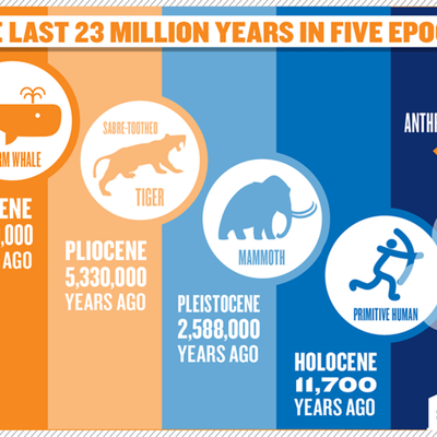 Timeline: E clarkson