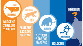 Timeline: E clarkson