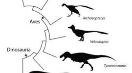 Timeline: Catherine Ziouva P3