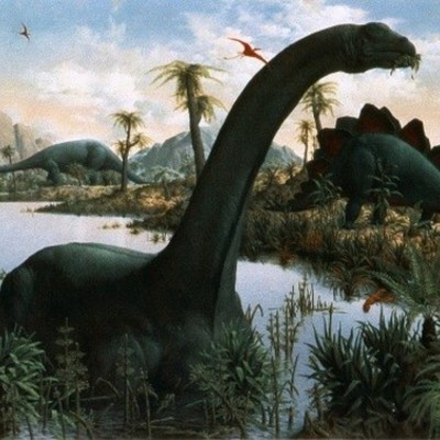 Timeline: Geological Timeline - Project