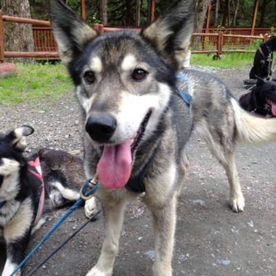 Timeline: Science Timeline Project