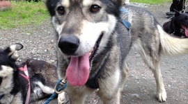 Timeline: Science Timeline Project