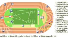 Timeline: ATLETISMO