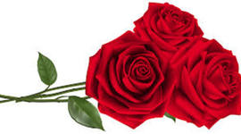 Timeline: Josee Personal Timetoast