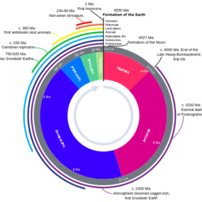 Timeline: J Sanchez P7