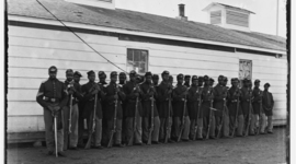 Timeline: mollie's timelines