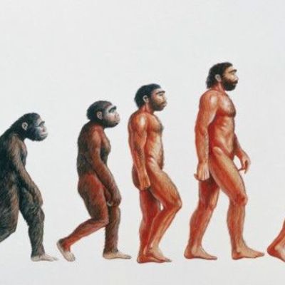 Timeline: La prehistoria