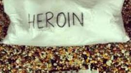 Timeline: The History of Heroin