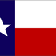 Texas flag  large by dallasx