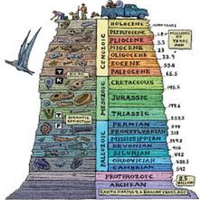 Timeline: Geological timescale timeline