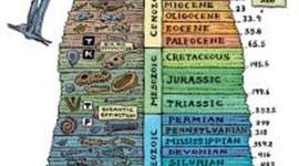 Timeline: Geological timescale timeline