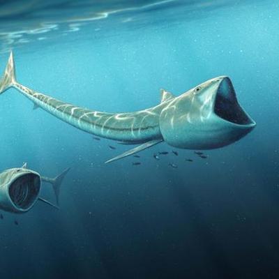 Timeline: Geological Timescale