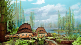 Timeline: Geological Timescale