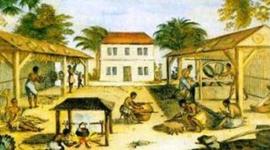 Timeline: Dakota swishers time line