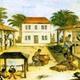 Slaves working tobacco plantation small