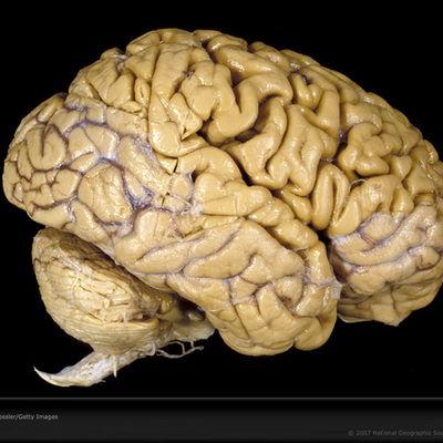 Timeline: HITOS DES. COGNITIVO 0-12 AÑOS (Belinda De Bien, Eva Millán, Fernando D. Veiga, Begoña Velasco, Nerea Ventura)