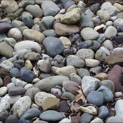 Timeline: caleigh's timeline