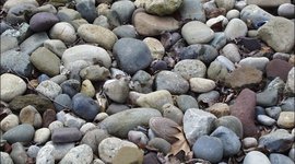 Timeline: caleigh's timeline