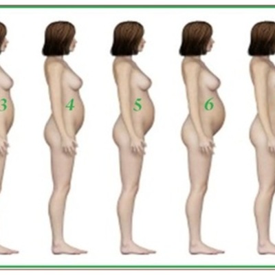 Timeline: Найкращі 9 місяців в житті жінкі