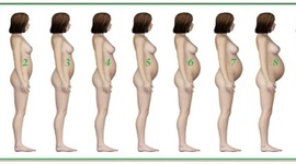 Timeline: Найкращі 9 місяців в житті жінкі