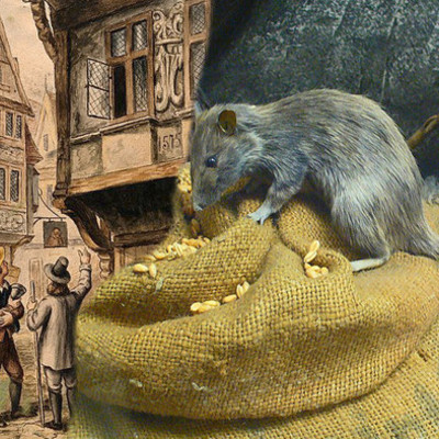 Timeline: Meet Clifford Ainsworth