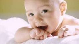 Timeline: pregnancy development month by month