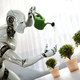 Robot plantes