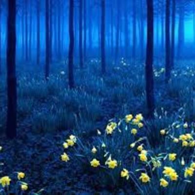 Timeline: Mi preparatoria