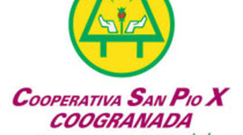 Timeline: Cooperativa Coogranada.