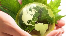 Timeline: CONFEENCIA DE LAS PARTES COP