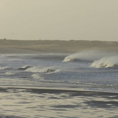 Timeline: Evolución de la Legislación Ambiental en Uruguay. Dr. Rinaldo Rossi Waller