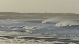 Timeline: Evolución de la Legislación Ambiental en Uruguay. Dr. Rinaldo Rossi Waller
