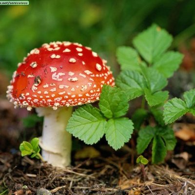 Timeline: Historical Facts about five kingdoms